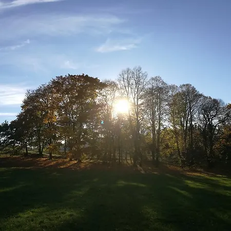 & Restaurant Bergfried Saalfeld Saale