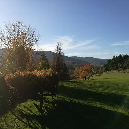 ホテル & Restaurant Bergfried 3*