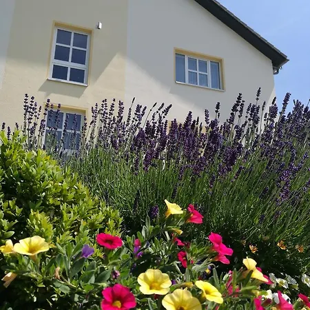 & Restaurant Bergfried Saalfeld Saale