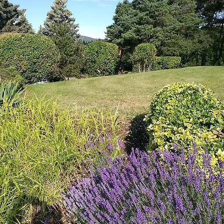 & Restaurant Bergfried 酒店 3*