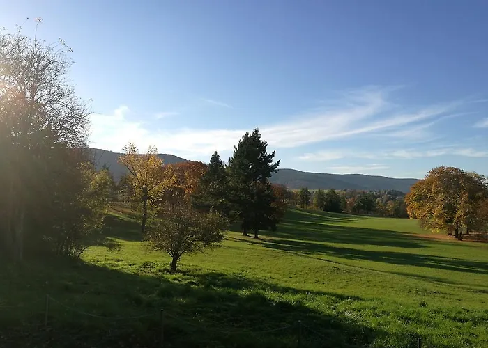 & Restaurant Bergfried Saalfeld Saale