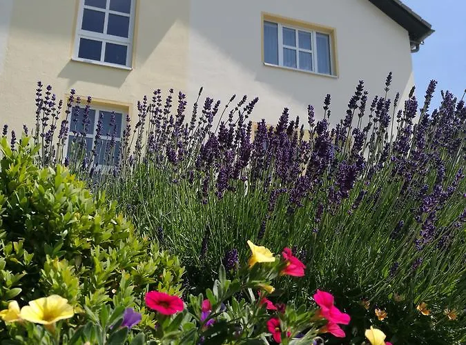 Hotel&restaurant Bergfried Saalfeld Saale