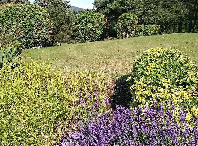 & Restaurant Bergfried Hotel 3*