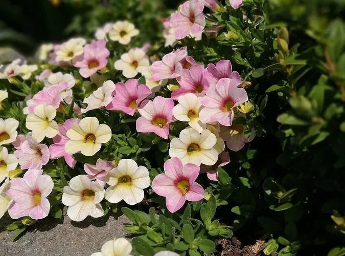 Hotel&restaurant Bergfried