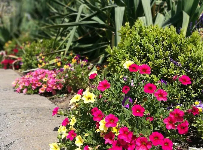 Hotel Hotel&restaurant Bergfried 3*