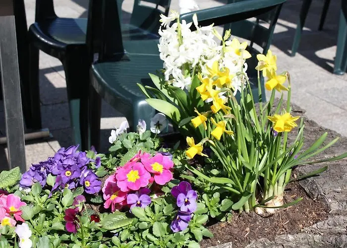 & Restaurant Bergfried